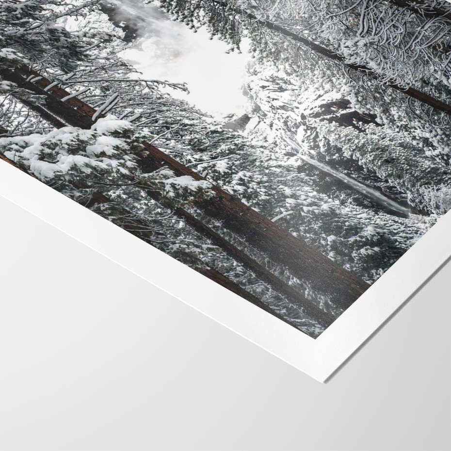 Plakat bez ramy 21x30 - Cicha Magia Zimowego Lasu - zimowy las, ośnieżone drzewa