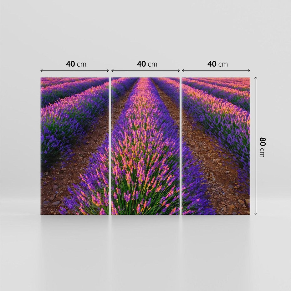 Obraz na płótnie 120x80 - Fioletowa Magia - pole, lawendy