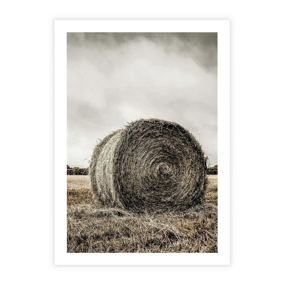 Plakat bez ramy 50x70 - Siano w Sepii: Wiejska Tradycja - snopek siana, bela siana