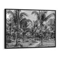 Obraz w ramie 100x70 - Mroczna Ścieżka Tropików - czarno biała fotografia, ścieżka pośród palm - rama czarna