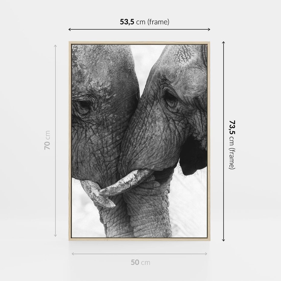 Obraz w ramie 50x70 - Spotkanie Mądrości - fotografia czarno biała, dwa słonie - rama drewno