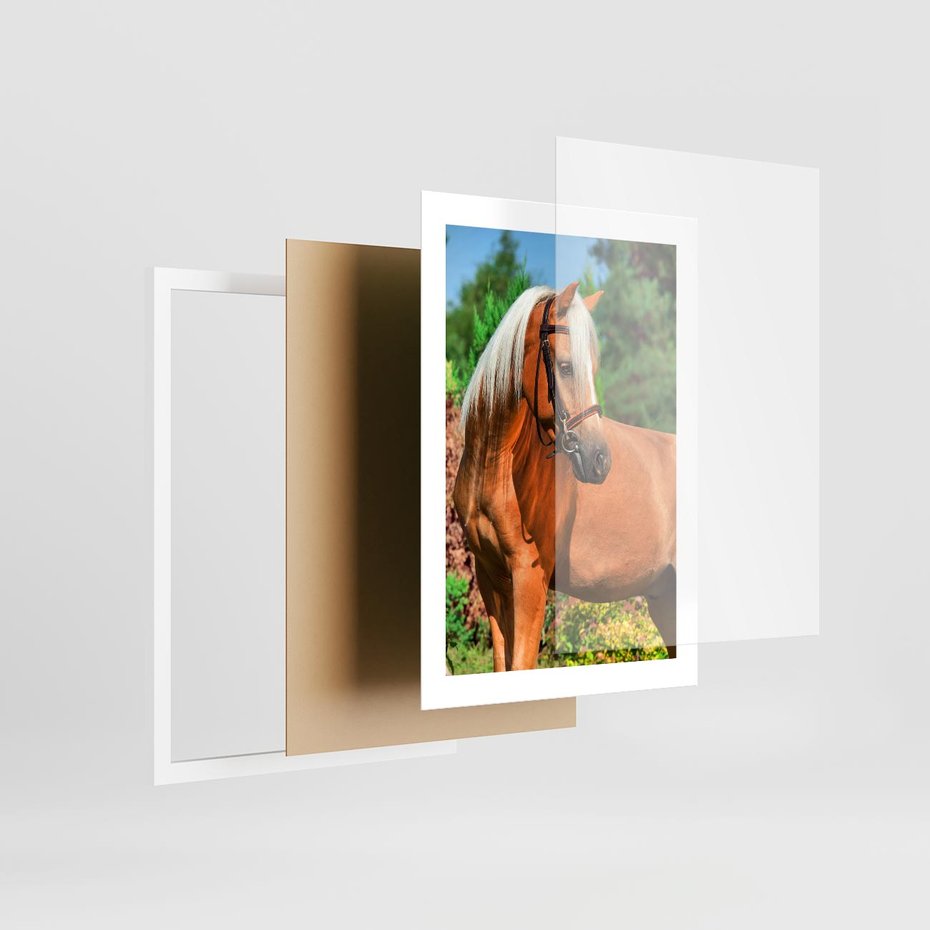 Plakat w ramie 30x40 - Elegancki wierzchowiec - koń, portret - rama biała