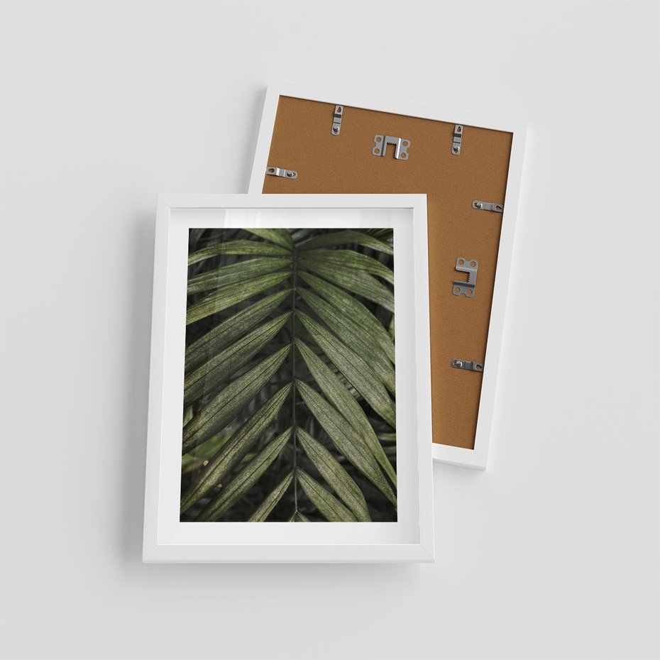 Plakat w ramie 30x40 - W Liściach Ukryte - zdjęcie, fotografia - rama biała