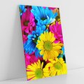 Obraz na płótnie 50x70 - Kwiatowy Świat - kwiat, kwiaty