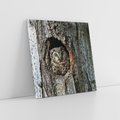 Obraz na płótnie 40x40 - Tajemniczy W świecie Nocy - sowa, dziupla