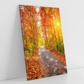 Obraz na płótnie 80x120 - Kolorowe drzewa na ścieżce jesieni - las, jesień