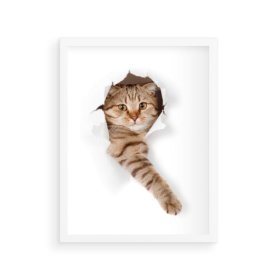 Plakat w ramie 30x40 - Kot w Dziurze - kot, dziura - rama biała