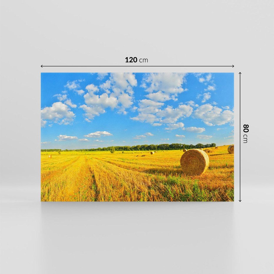 Obraz na płótnie 120x80 - Urok rolnictwa: Trawa w pełnym rozkwicie - rolnictwo, trawa