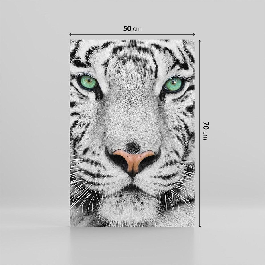 Obraz na płótnie 50x70 - Magia Białego Tygrysa - biały, tygrys