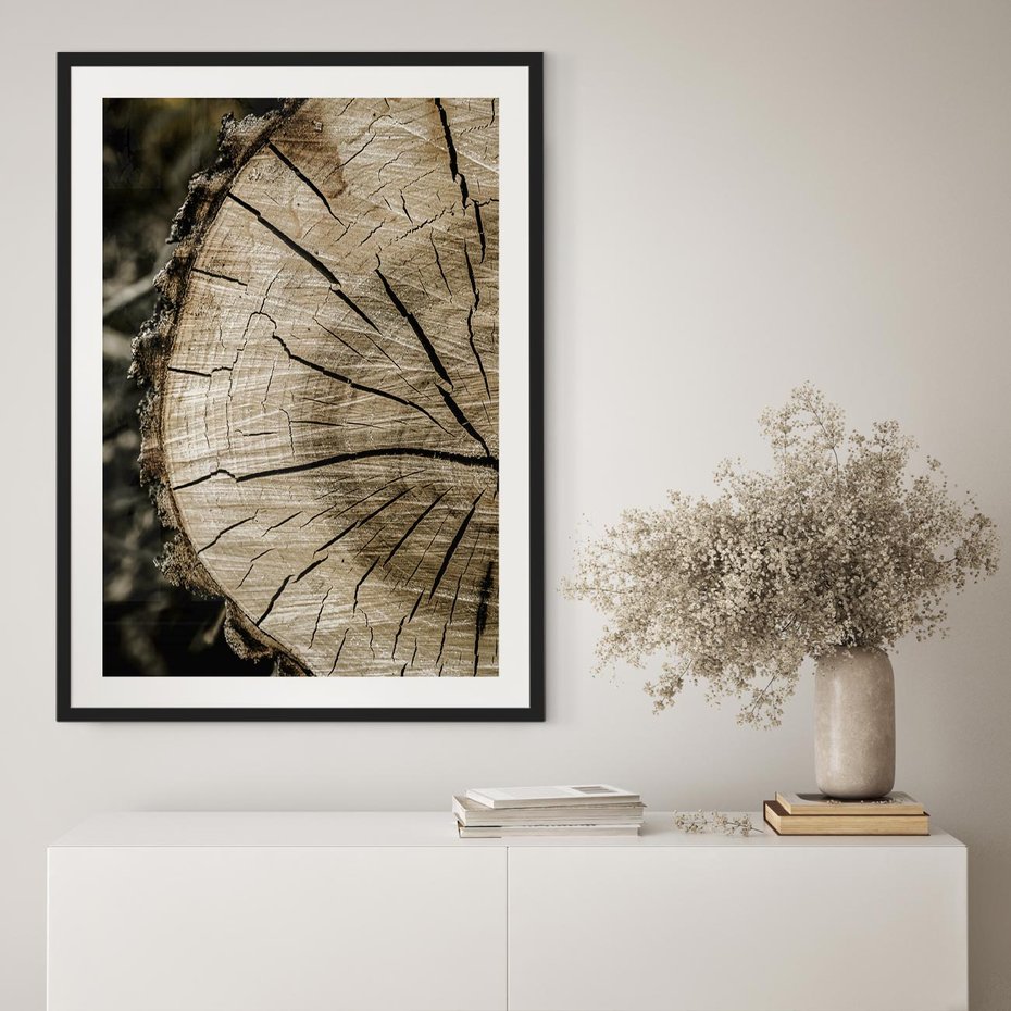 Plakat w ramie 30x40 - Wnętrze Natury - pień, przecięty pień - rama czarna