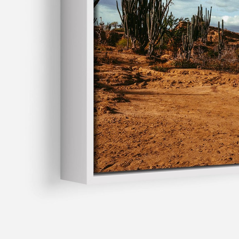 Obraz w ramie 50x50 - Skarby Pustynnego Kanionu - pustynia, kaktusy - rama biała