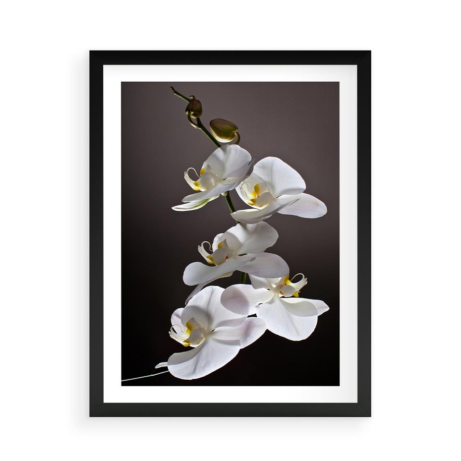 Plakat w ramie 50x70 - SPA: harmonia z kwiatami - spa, kwiaty - rama czarna