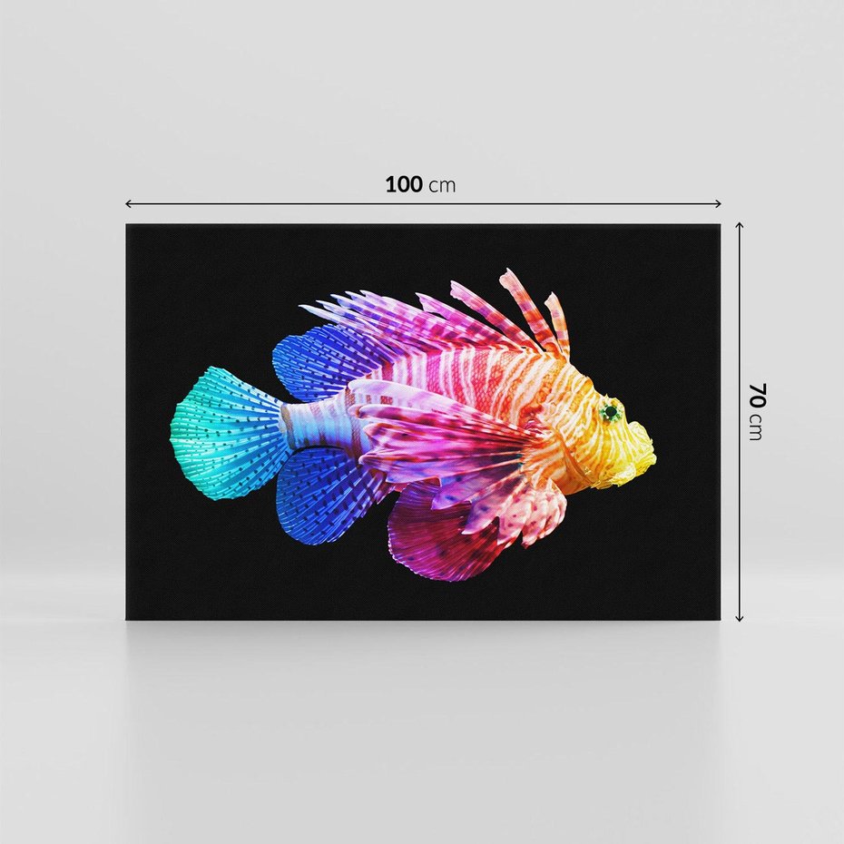 Obraz na płótnie 100x70 - Tęczowa Piękność - kolorowa tęczowa ryba, mocny akcent na czarnym tle