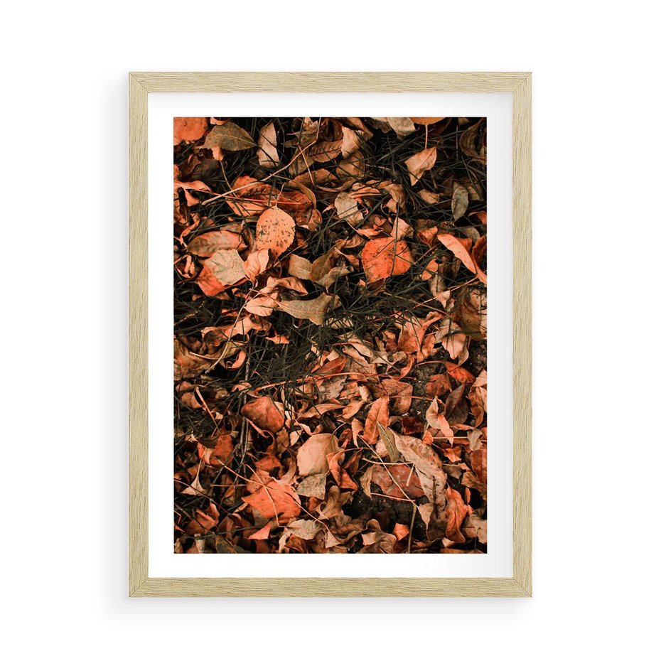 Plakat w ramie 50x70 - Jesienny Splot: Pomarańczowe Liście - liście, pomarańczowe suche liście - rama drewno
