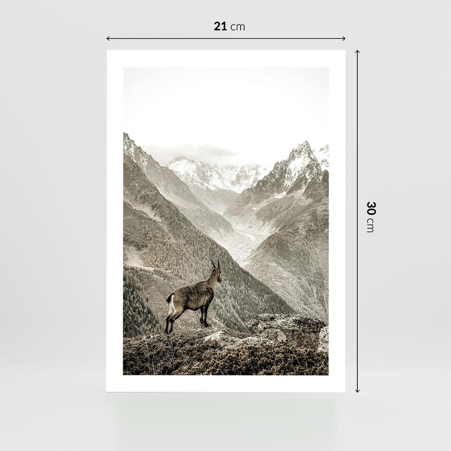 Plakat bez ramy 21x30 - Dzikie Piękno: Kozica w Malowniczym Górskim Scenerii - kozica, góry