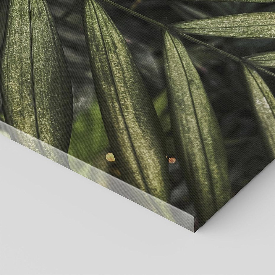 Obraz na płótnie 70x100 - W Liściach Ukryte - zdjęcie, fotografia