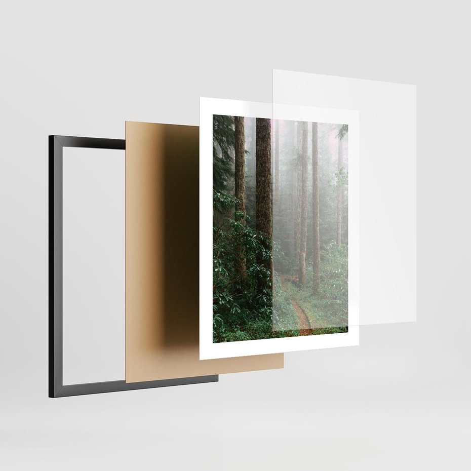 Plakat w ramie 40x50 - Mgliste Marzenia - artystyczna fotografia, las - rama czarna