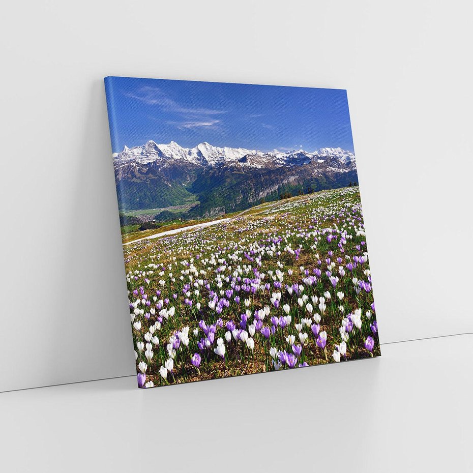 Obraz na płótnie 80x80 - Wiosenne Czarowanie - krokusy, góry