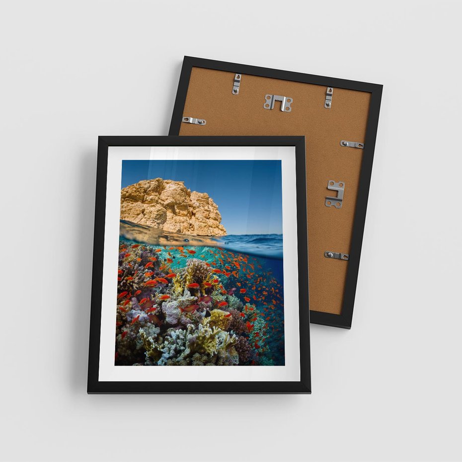 Plakat w ramie 40x50 - Rafa koralowa w oceanie - rafa, koralowa - rama czarna