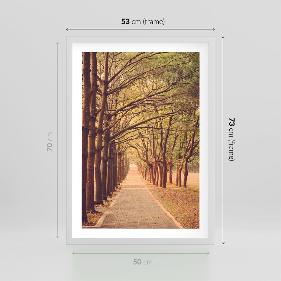 Plakat w ramie 50x70 - Wędrówka między drzewami - droga, drzewa - rama biała