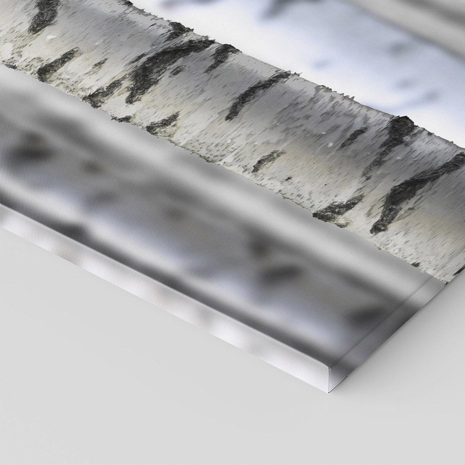 Obraz na płótnie 70x100 - Delikatność brzóz - brzozy, las