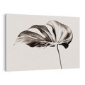 Obraz na płótnie 120x80 - Szapczący Liść - szkic, czarno biały