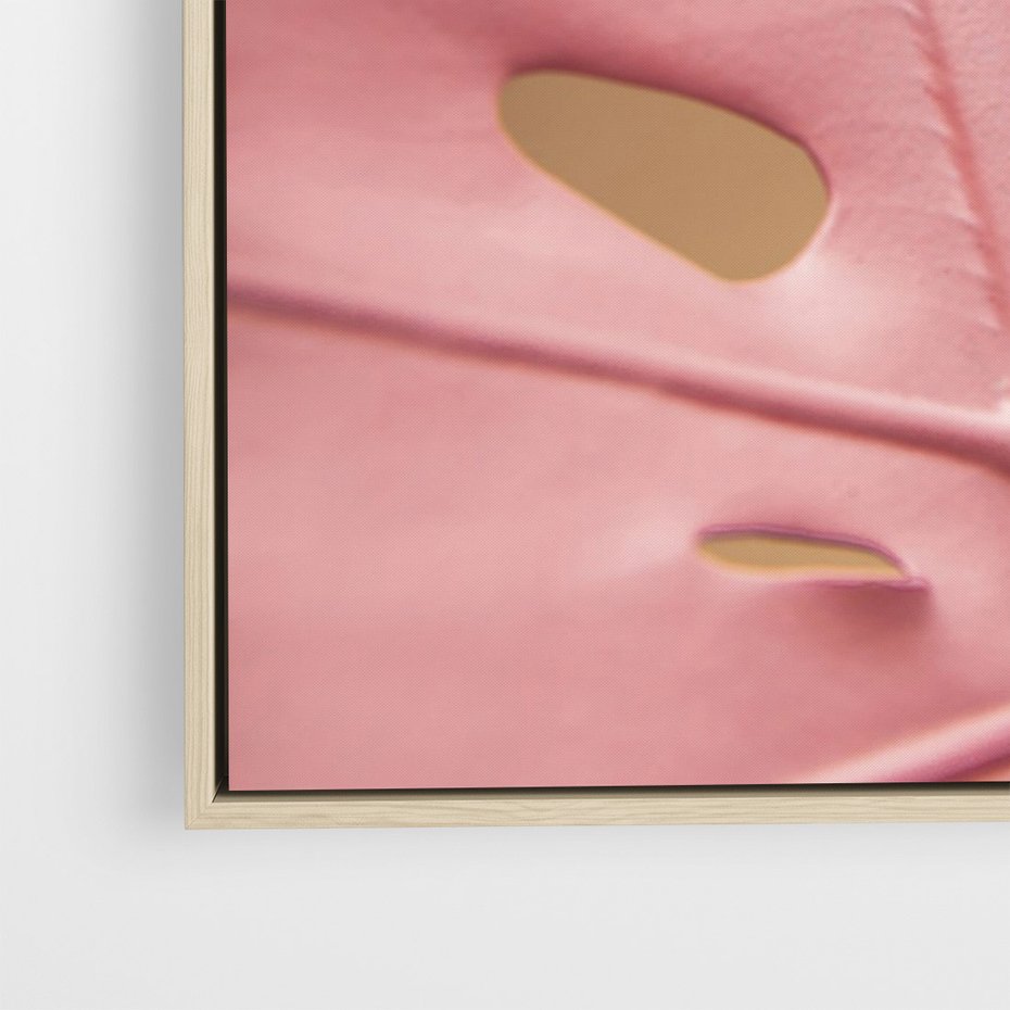 Obraz w ramie 80x120 - Różowa monstera w pełnym rozkwicie - różowa, monstera - rama drewno