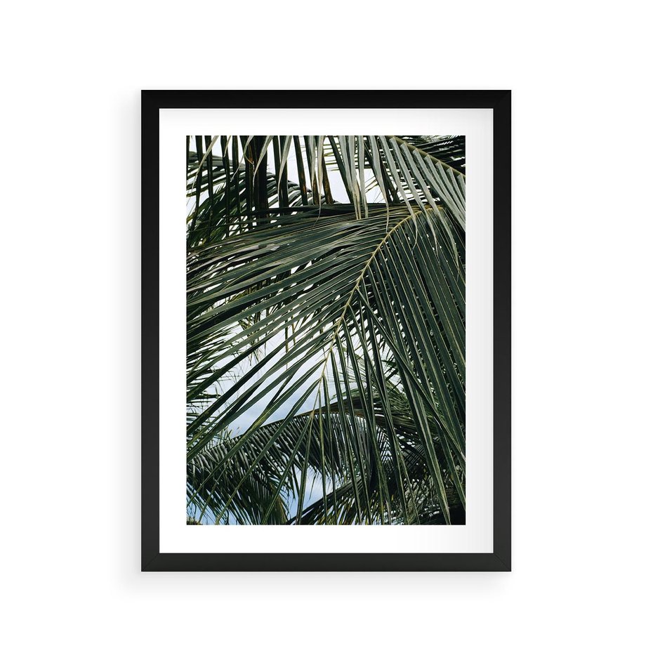 Plakat w ramie 30x40 - Wakacyjna Magia - palmy, tropiki - rama czarna