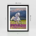 Plakat w ramie 40x50 - Koń Góry: Spotkanie z Wielką Przyrodą - koń, góry - rama czarna