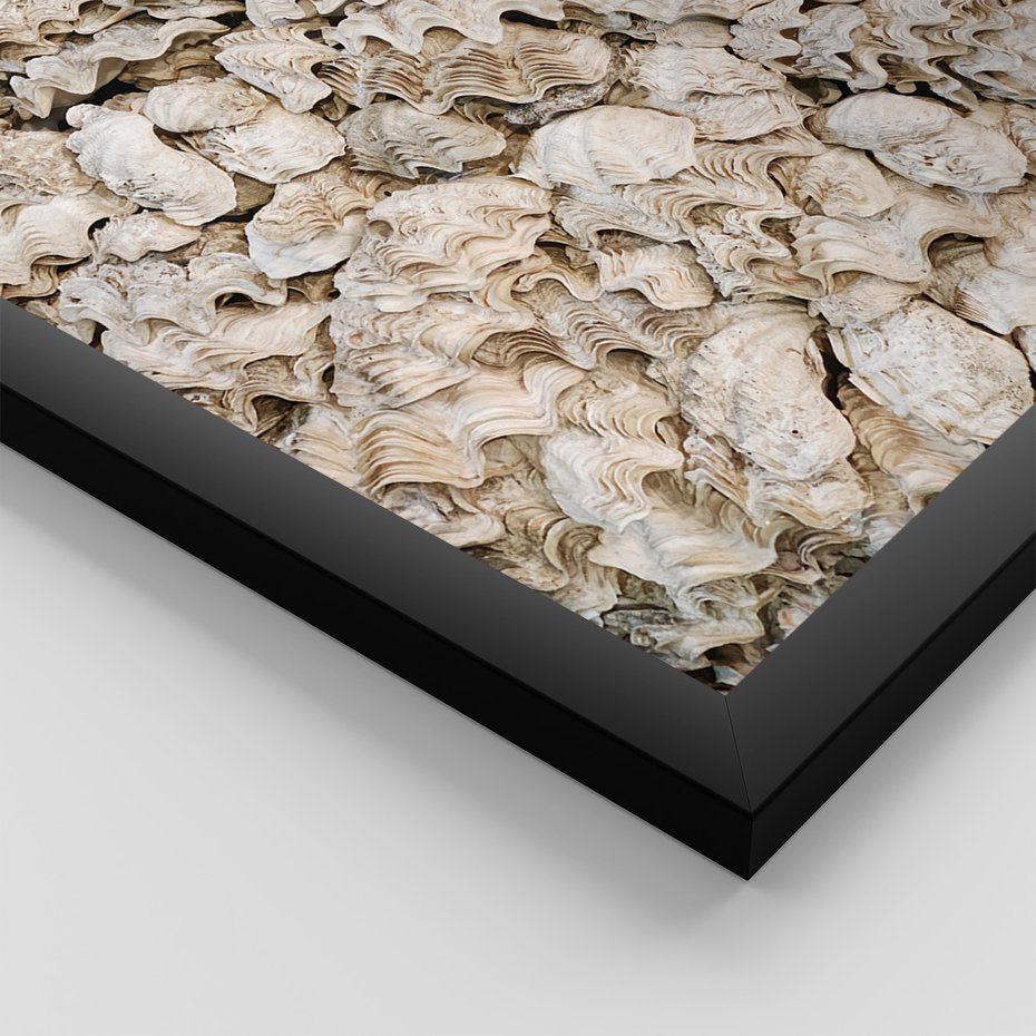 Zestaw obrazy w ramie 50x70 galeria - Plaża, boho, palmy, muszle, morze - rama czarna