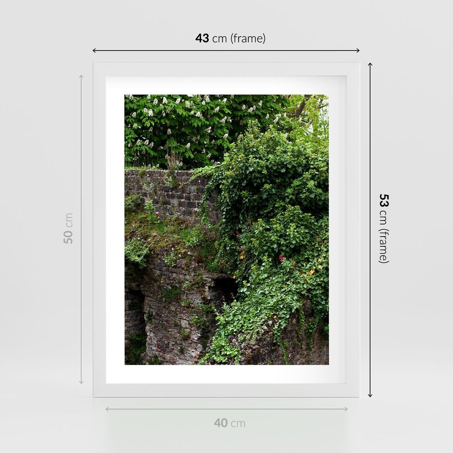 Plakat w ramie 40x50 - Żywiołowa Zieleń - mur, liście - rama biała
