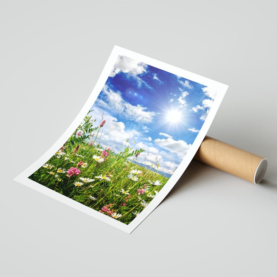 Plakat bez ramy 50x70 - Niebiańska łąka pełna kwiatów - łąka, niebo