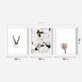 Zestaw obrazy w ramie 50x70 galeria - Kwiaty, boho, styl, minimalizm - rama biała