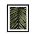 Plakat w ramie 40x50 - W Liściach Ukryte - zdjęcie, fotografia - rama czarna
