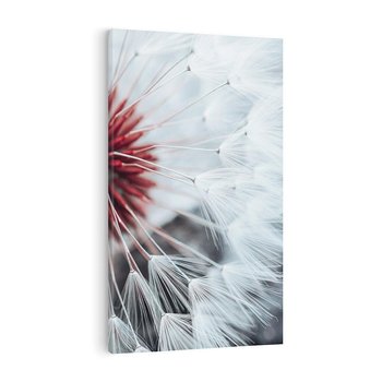 Obraz na płótnie 80x120 - Makro świat dmuchawca - dmuchawiec, makro