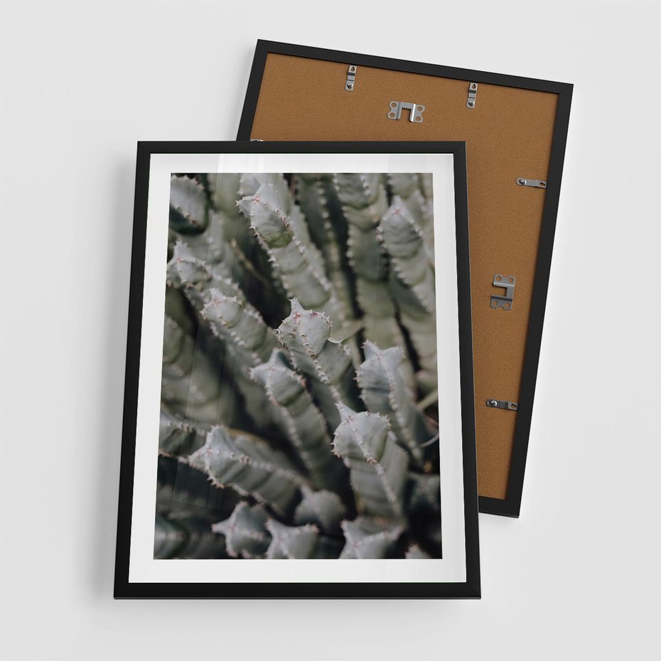 Plakat w ramie 50x70 - Oaza Natury - sukulenty, kaktusy - rama czarna