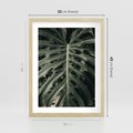 Plakat w ramie 30x40 - Majestatyczny Liść Monstery - liść monstery, majestatyczny liść - rama drewno