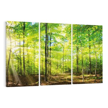 Obraz na płótnie 120x80 - Drzewa w harmonii - las, drzewa