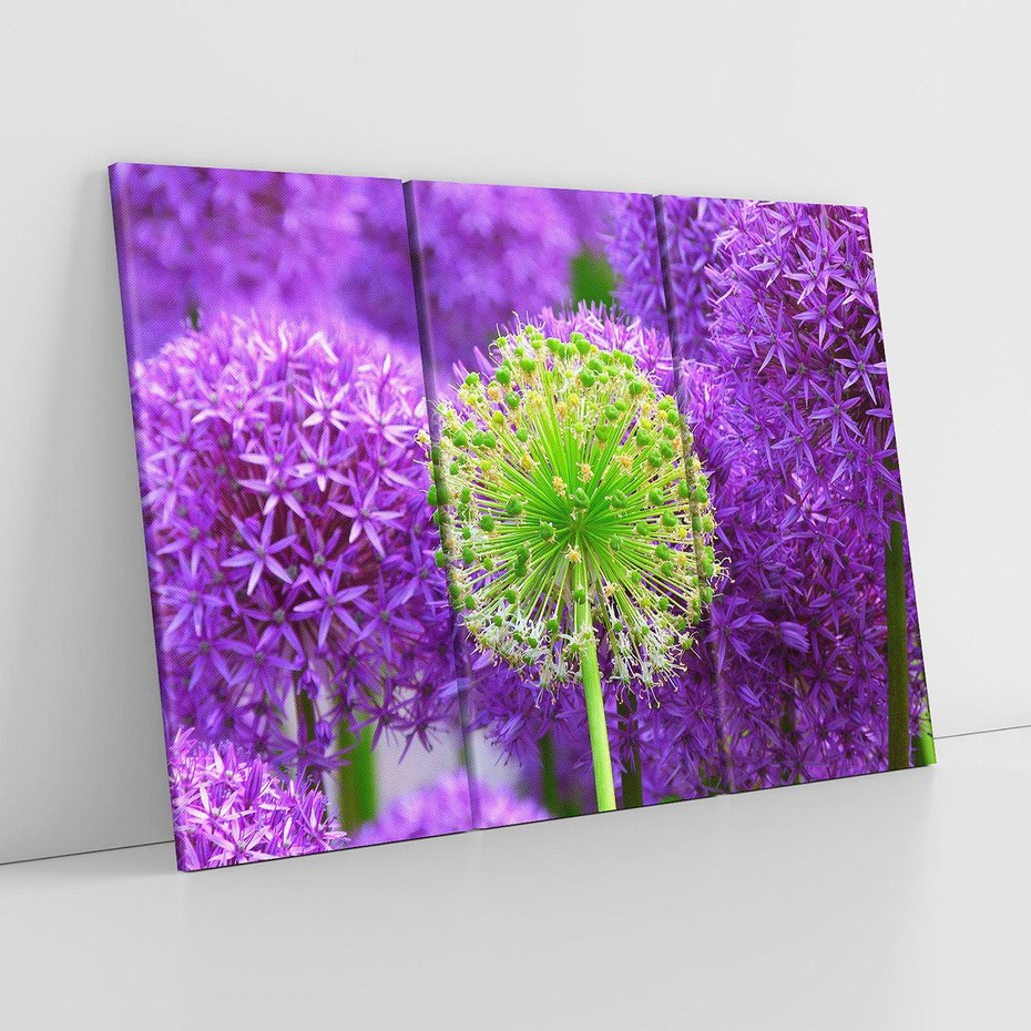 Obraz na płótnie 120x80 - Kwiatowy Raj - kwiat, kwiaty