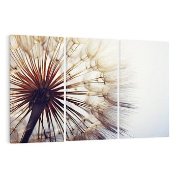 Obraz na płótnie 120x80 - Makro piękno dmuchawca - makro, dmuchawiec