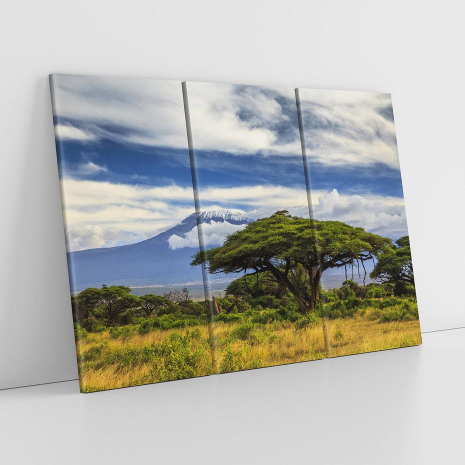 Obraz na płótnie 120x80 - Afrykańska magia - Afryka, Kenia