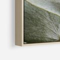 Obraz w ramie 50x70 - Eukaliptusowa zieleń - eukaliptus, zielone - rama drewno