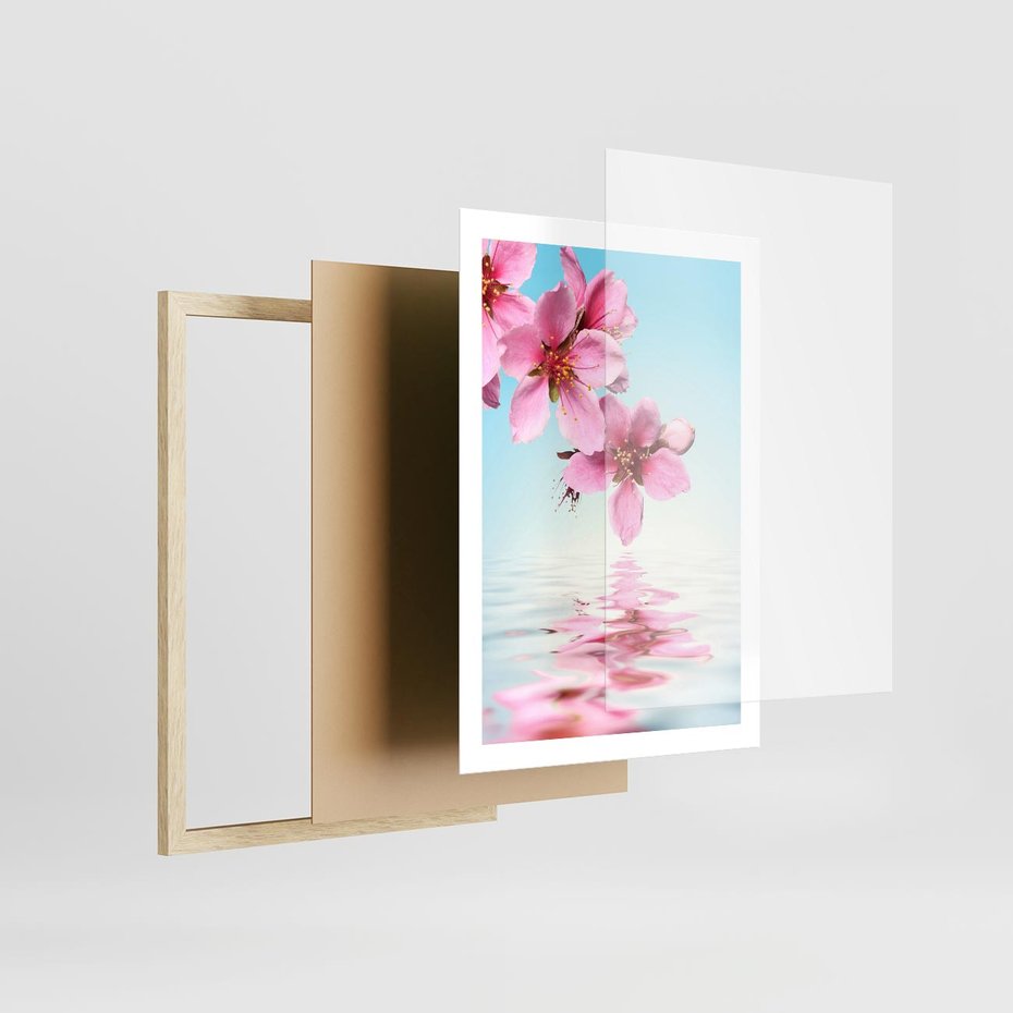 Plakat w ramie 50x70 - Magia kwitnącej wiśni - kwitnąca, wiśnia - rama drewno