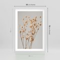 Plakat w ramie 50x70 - Delikatne gipsówki - gipsówka, suche - rama biała