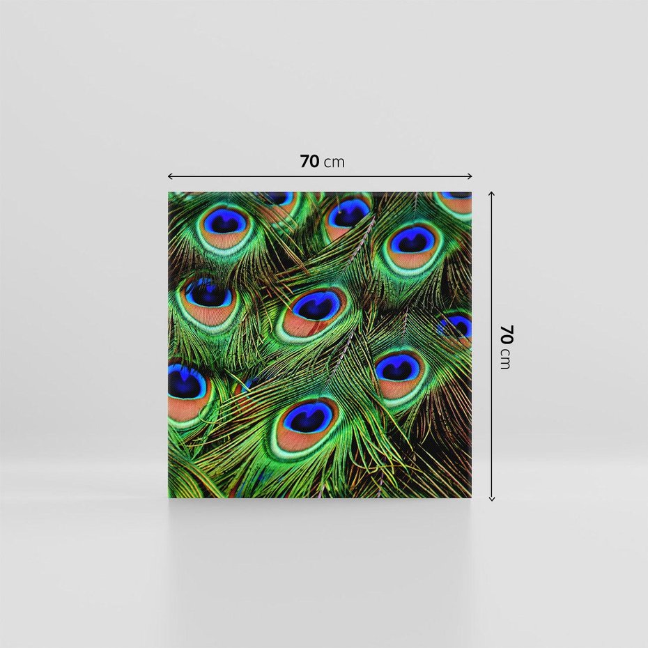 Obraz na płótnie 70x70 - Pawi Ogon - Piękno i Wspaniałość - paw, pióra