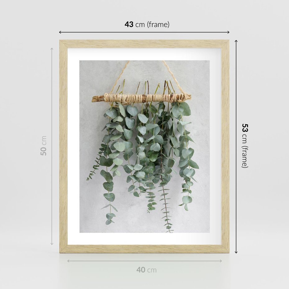 Plakat w ramie 40x50 - Uwodzicielska zieleń eukaliptusa - eukaliptus, zielone - rama drewno