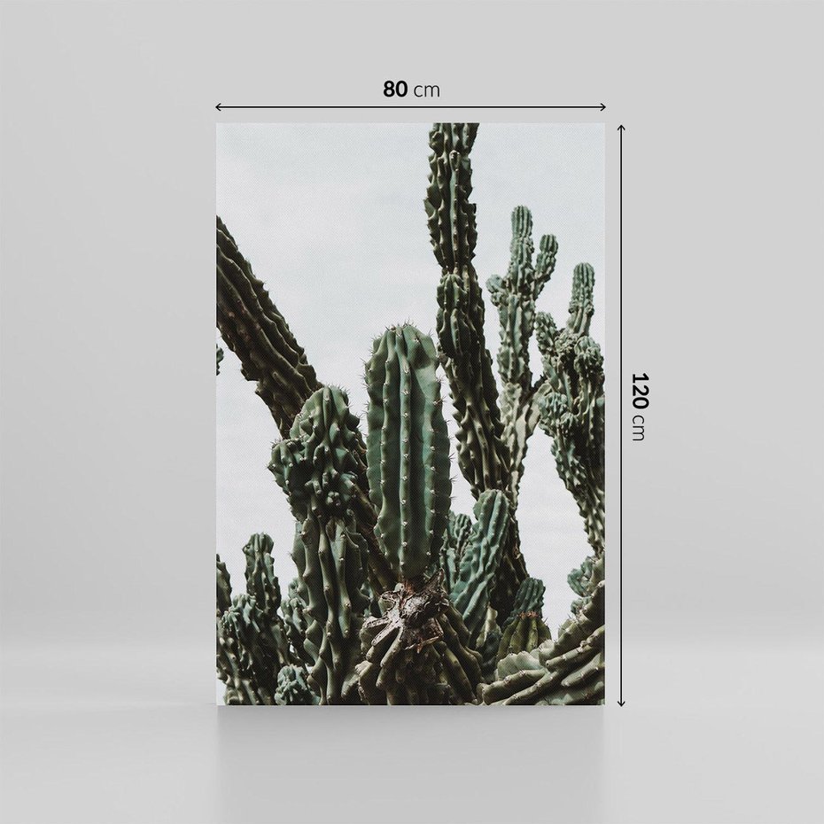 Obraz na płótnie 80x120 - Boho oaza wśród kaktusów - kaktusy, pustynia