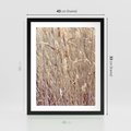 Plakat w ramie 40x50 - Suche Trawy w Wyjątkowym Stylu - suche trawy, boho styl - rama czarna