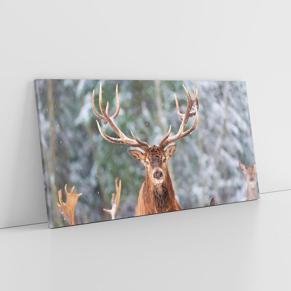 Obraz na płótnie 120x60 - Monarcha Zimowej Dziczy - jeleń, zima