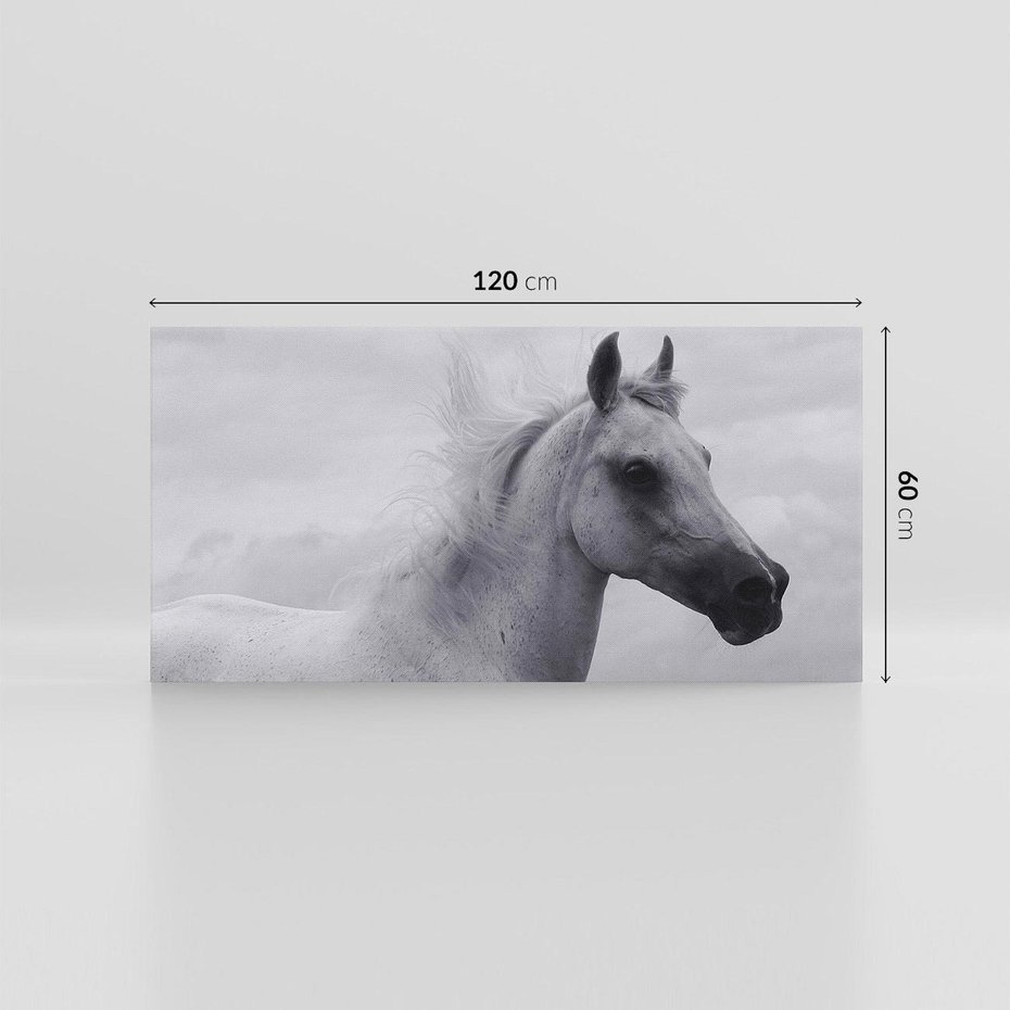 Obraz na płótnie 120x60 - Moc i Wolność - czarno biała fotografia, biały